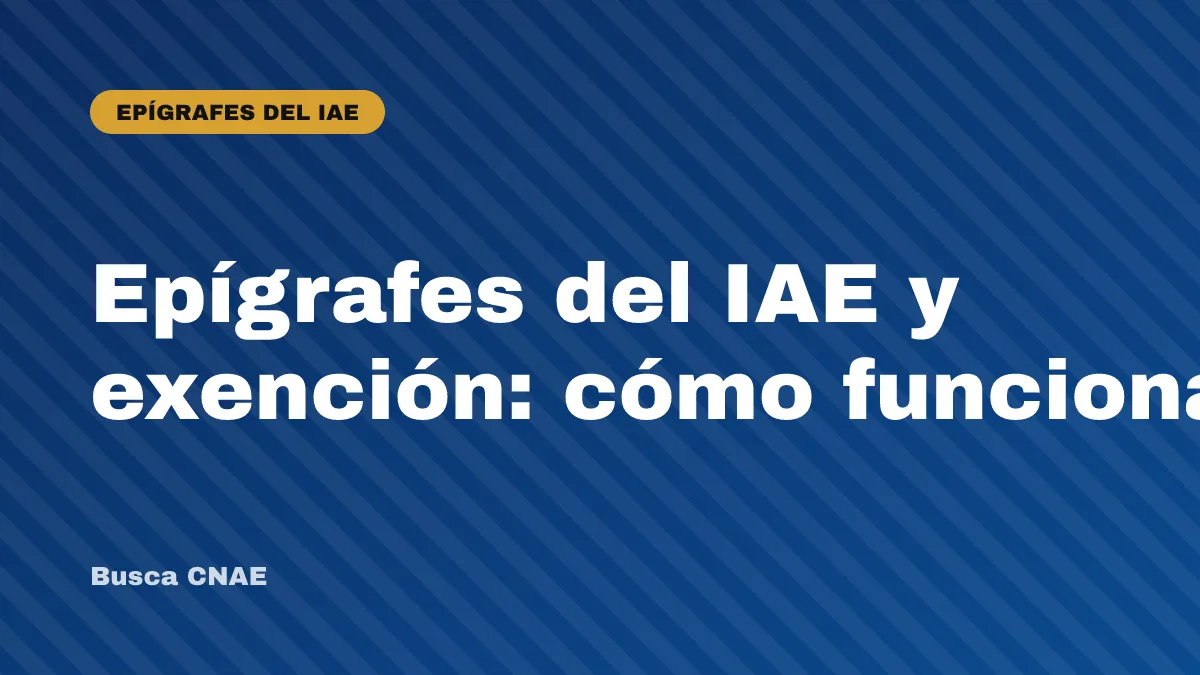 Epígrafes del IAE y exención: cómo funcionan